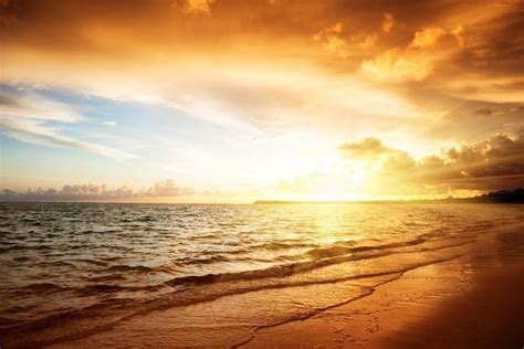 Sunrise Over The Ocean Wall Mural Beach Wall Murals Tropical Beach