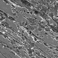 A SEM Photograph Of Carbon Steel Immersed In 1N HCl Solution Blank