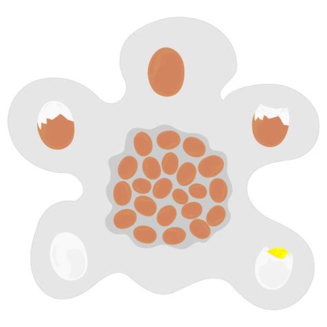 set  egg vector shape  vector art  vecteezy
