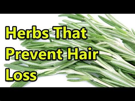 Top Herbs That Prevent Hair Loss Youtube