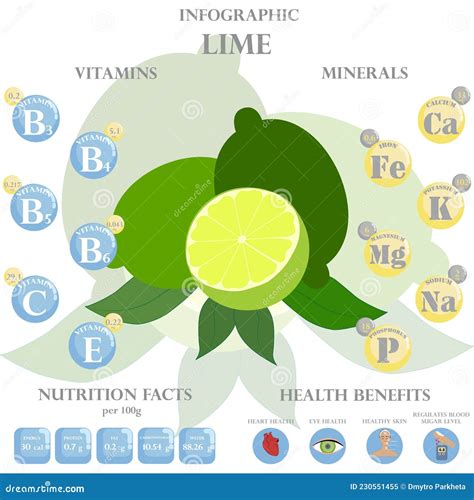 Lime Nutrition Facts And Health Benefits Infographic Stock Vector