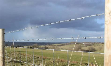 Barbed Wire Fencing Barbed Wire With Sharp Edge On Various Fences For