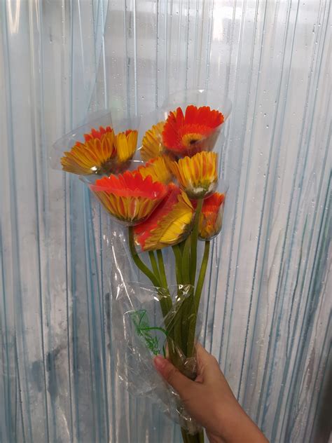 Gerbera - Assorted Colors [MA] - G Flower Wholesale