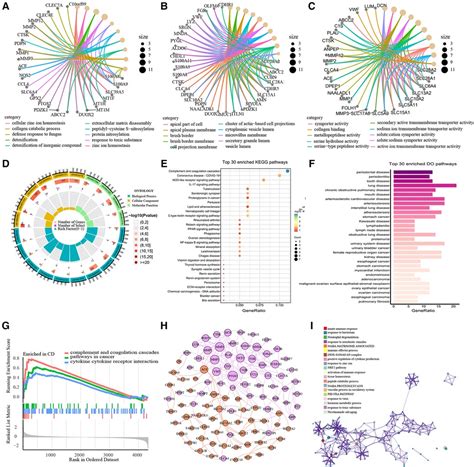 Frontiers Pediatric Crohn S Disease Diagnosis Aid Via Genomic