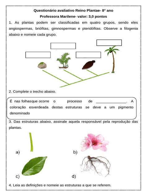 Questões Reino Plantae - Questionário Avaliativo Reino Plantae | PDF | Plantas | Flores