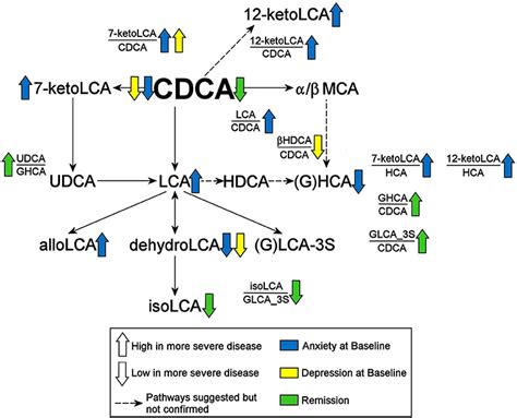 Gut Microbiome Linked Metabolites In The Pathobiology Of Major