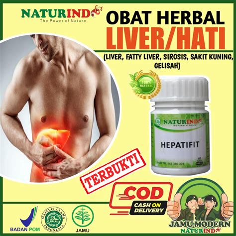 Jual Obat Hepatitis A B C Ampuh Kuning Fatty Liver Bengkak Sirosis