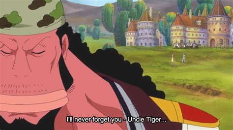 One Piece Koala Fisher Tiger Fisher Tiger One Piece Wiki Fandom