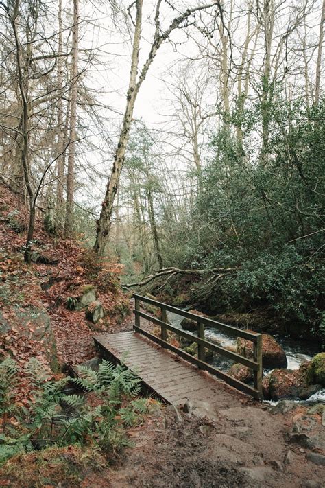 Wyming Brook Nature Reserve Circular Walk Artofit