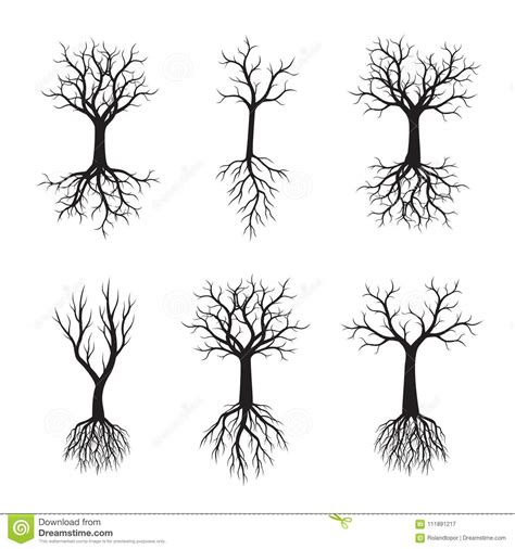 Set Of Black Trees With Roots Vector Illustration Stock Illustration