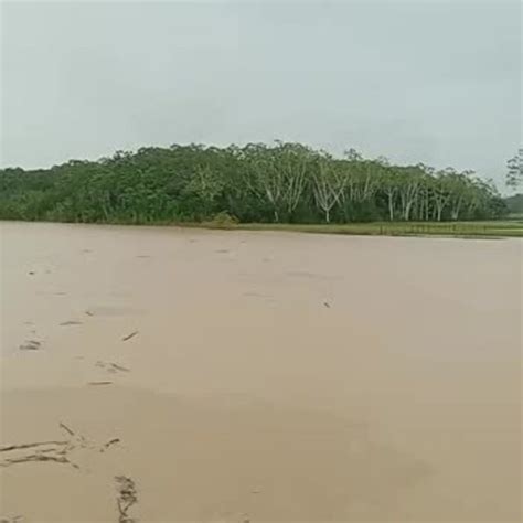 Ap S Fortes Chuvas N Vel Do Rio Tarauac Sobe Mais De Metros E Volta