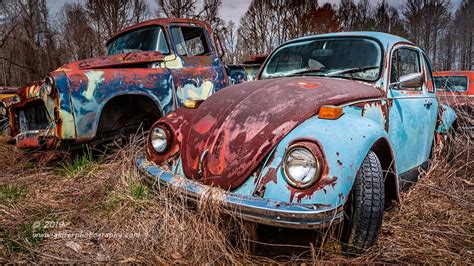 Baby Blue Beetle – Greg Kiser Photography