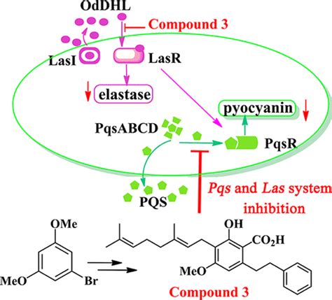 Synthesis And Biological Evaluation Of Cajaninstilbene Acid And