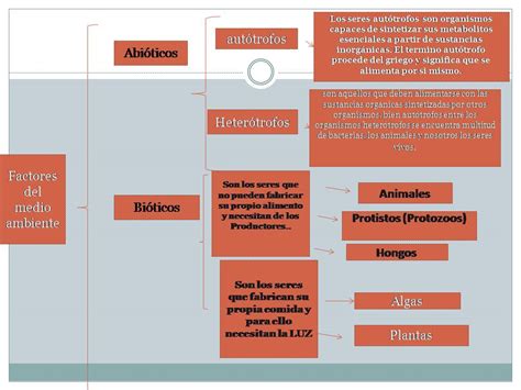 Ecologia Y Medio Ambiente Act Cuadro Sinoptico De Factores Del