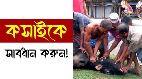 কসাই যে কাজটি না করলে আপনার কুরবানী হবে না Youtube