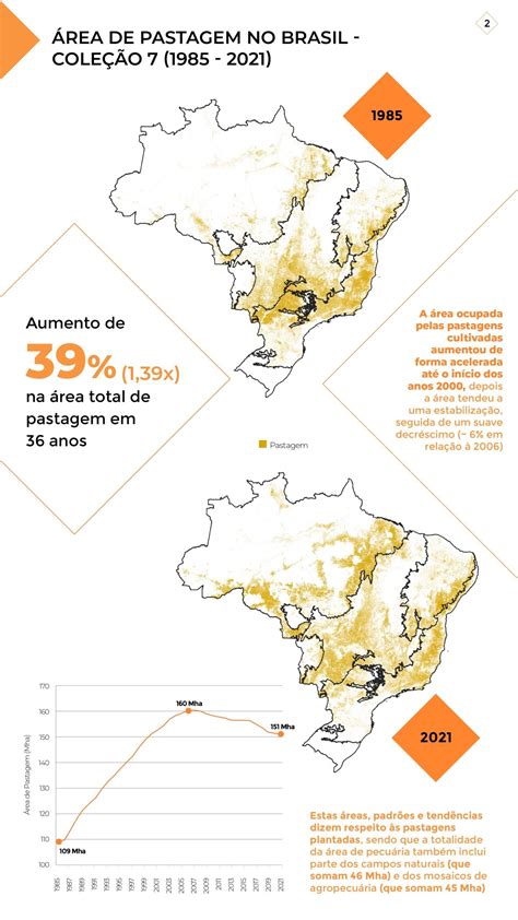 Geo Concei O Amaz Nia O Bioma Maior Rea De Pastagem No Brasil