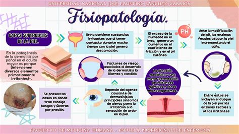 Fisiopatología de la dermatitis MARLEY ROSALIND ELIZAMA VERA BARRETO