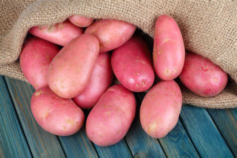 Red Potatoes Varieties Growing And Cooking Plantura