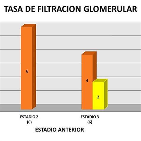 Tasa De Filtraci N Glomerular En Pacientes Con Nefropat A Inducida Por