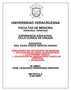 01 Teorias Del Envejecimiento Hernandez Briones Leonardo UNIVERSIDAD