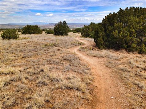 Juniper Berry Run Mountain Bike Trail in Placitas, New Mexico