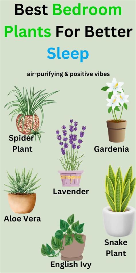 50 Air Purifying House Plants By Nasa | Flowersandflowerthings | Plant ...