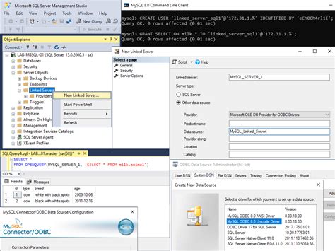 Creating A Linked Server With A Mysql Database Mssql Dba Blog