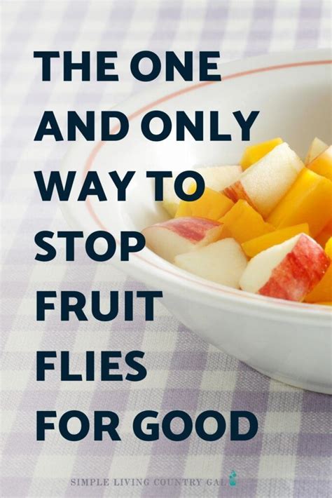 How To Get Rid Of Fruit Flies Without Sprays Artofit