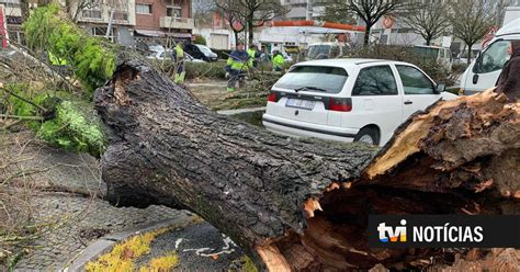 Deslizamentos De Terra Quedas De Rvores E Inunda Es Devido Ao Mau