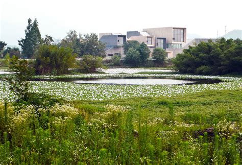 Site N Xixi Wetland Art Village Wang Weijen Architecture