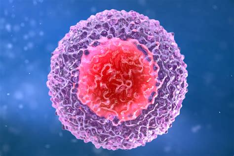 When To Worry About Low Lymphocytes