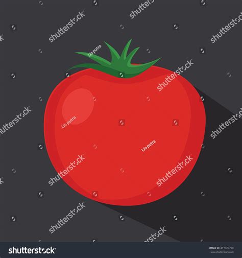 Tomato Isolated Single Simple Cartoon Illustration Stock Vector