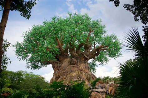 Disney Tree of Life Wallpaper - WallpaperSafari