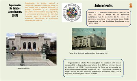 Antecedentes De La Organizacion De Estados Americanos Y Sus Protocolos