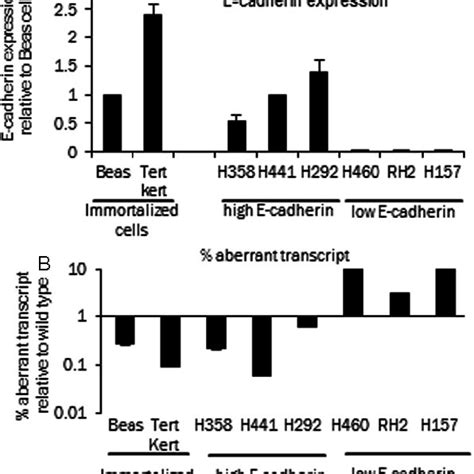 E Cadherin Expression And Aberrant Transcript A Relative E Cadherin