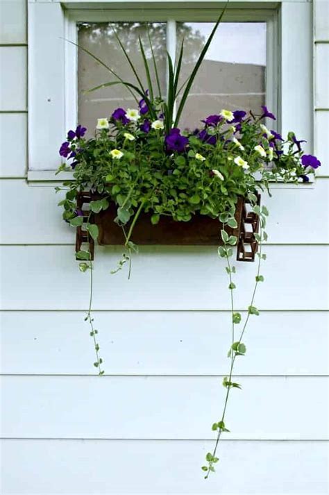 Rustic Flower Window Box