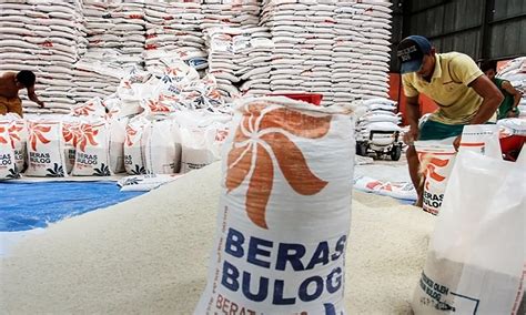 Pemerintah Imbau Bulog Serap Beras Petani Ton Tahun Ini Parboaboa