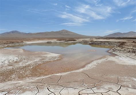 Desierto De Atacama Muerte Por Exceso De Agua