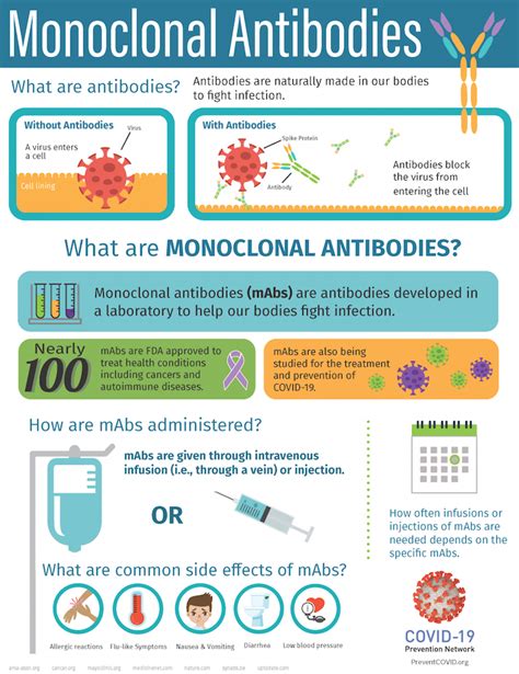 How Monoclonal Antibodies Are Shaping The Future Of Healthcare