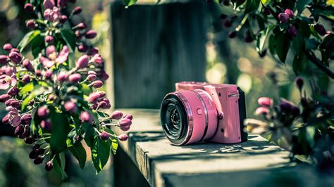 Wallpaper Id 68530 Camera Nikon Vintage Free Download