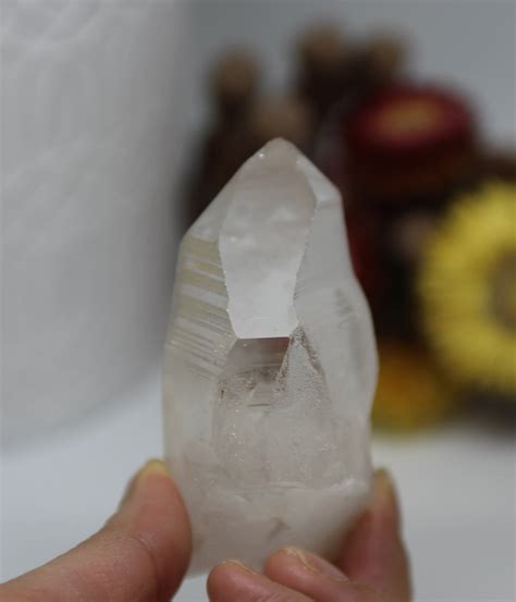 Lemurian Seed Quartz Shop Natural Lemurian Seed Crystal From Crystal