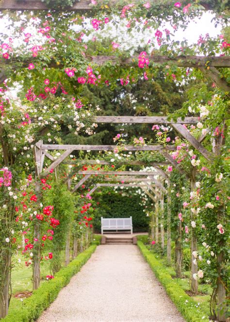 PARC DE BAGATELLE ROSE GARDEN IN PARIS