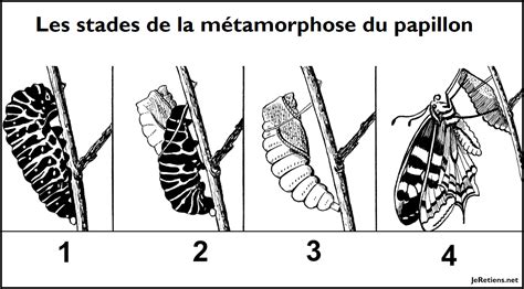 Pendule Supporter Plat Enveloppe De Chrysalide Monast Re Polyvalent Syst Me