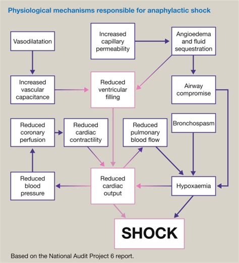 Perioperative Anaphylaxis Anaesthesia And Intensive Care Medicine