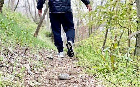 山賊や強盗団がはびこる日本の今 渓流詩人の徒然日記