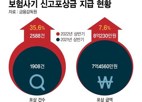 최대 20억 보험사기 신고 로또급 포상금 준다 파이낸셜뉴스