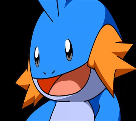 Mudkip Pokemon Anime Mud Kip Pokemon Hd Wallpaper Peakpx