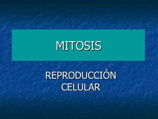 Mitosis PPT