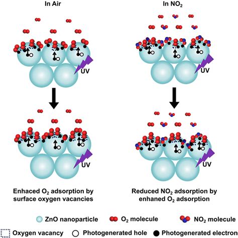 Surface Oxygen Vacancies Induced The Adsorption Behaviors Of NO2