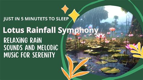 Lotus Rainfall Symphony Relaxing Rain Sounds And Melodic Music For